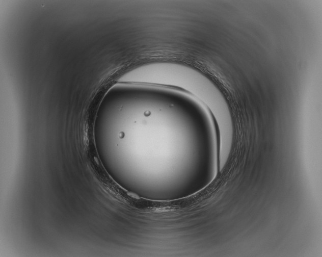 X0000116460692200912161232