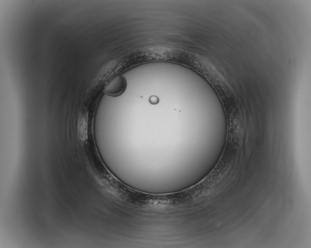 X0000116460694200912161232