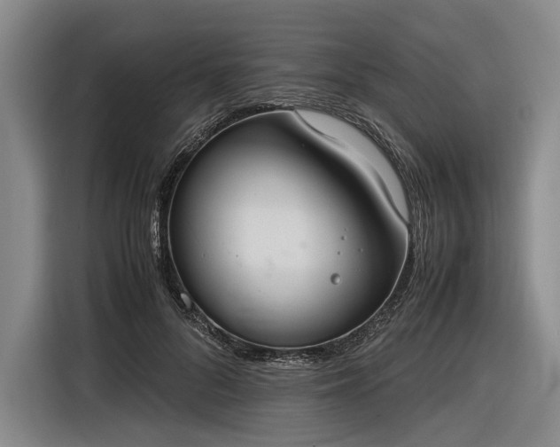 X0000116460696200912161232