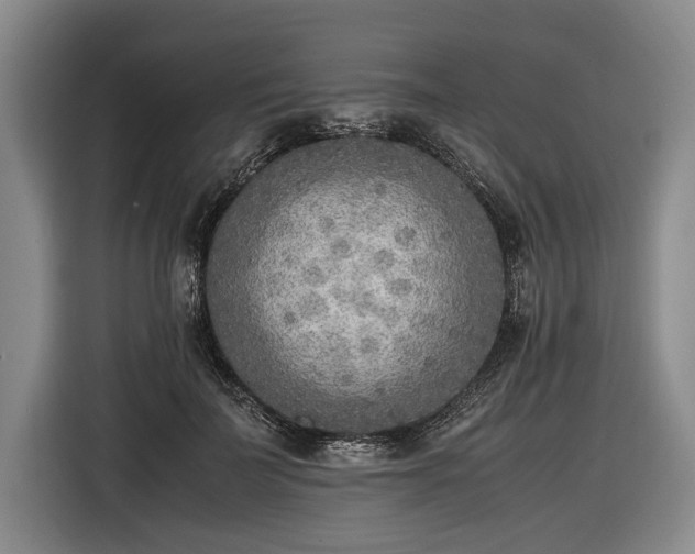 X0000116460699200912161232