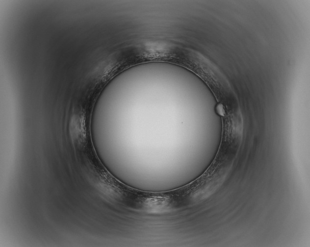 X0000116460700200912161232