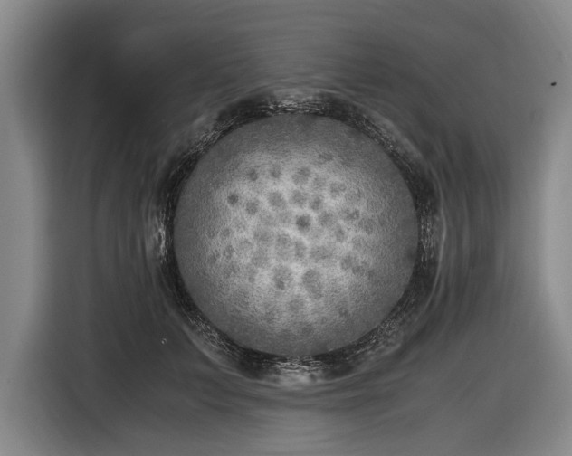 X0000116460703200912161232