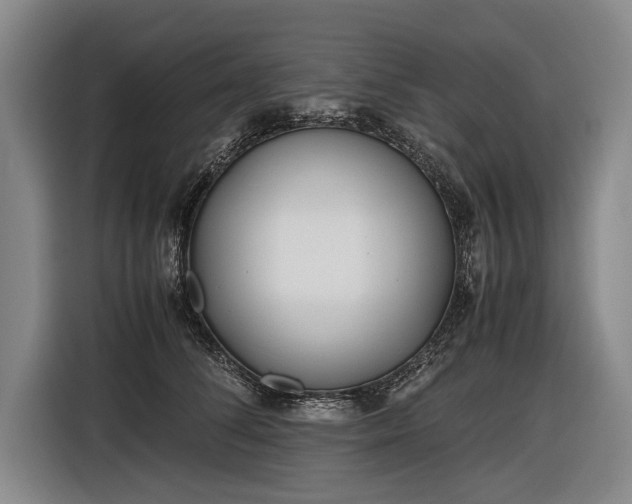 X0000116460708200912161232
