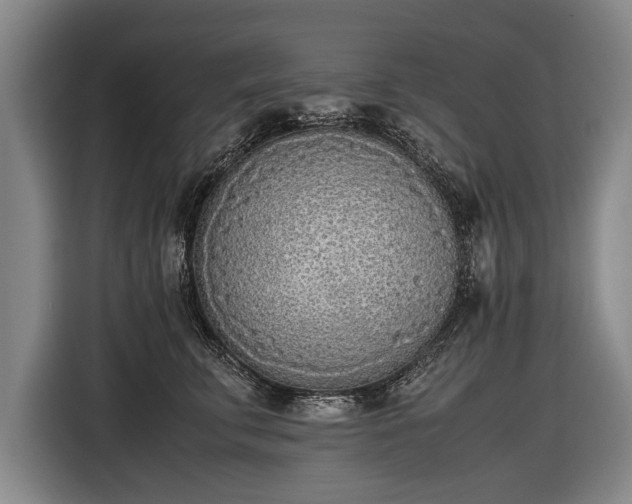 X0000116460711200912161232