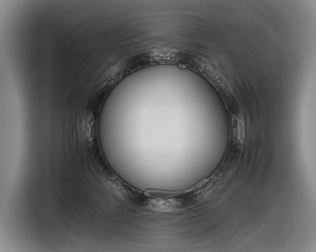 X0000116460712200912161232