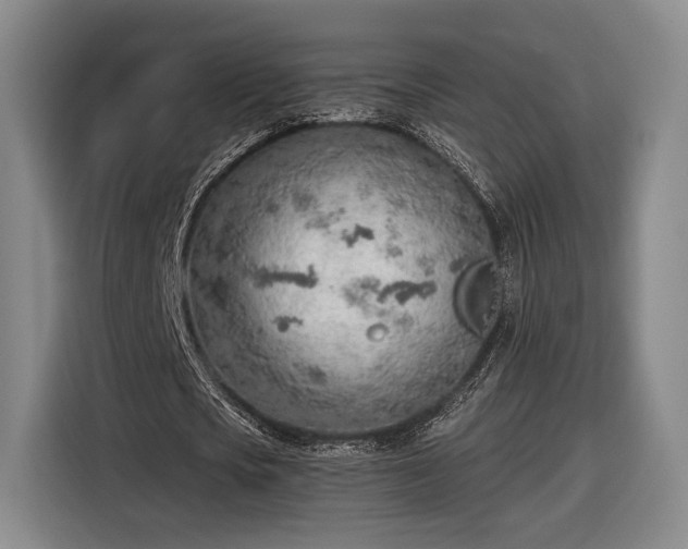 X0000116460721200912161231