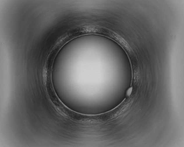 X0000116460722200912161231