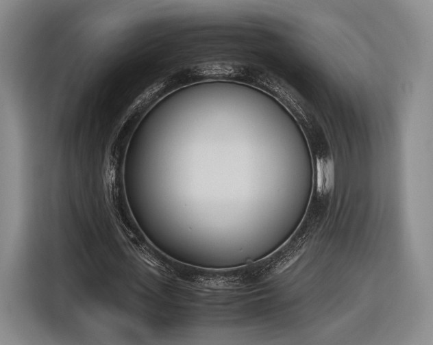 X0000116460723200912161231