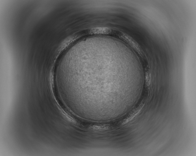 X0000116460725200912161231