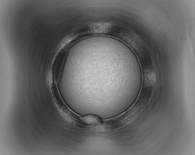 X0000116460726200912161231