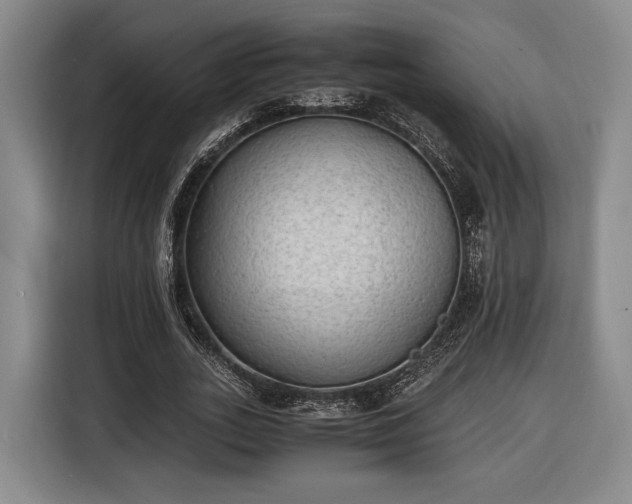 X0000116460727200912161231