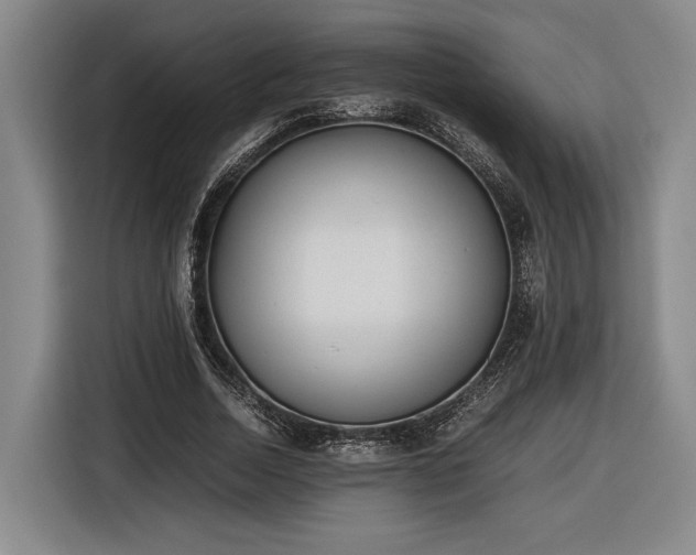 X0000116460730200912161231