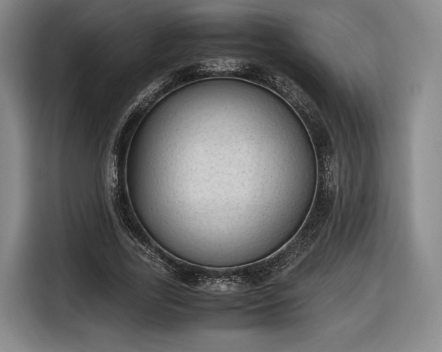 X0000116460731200912161231