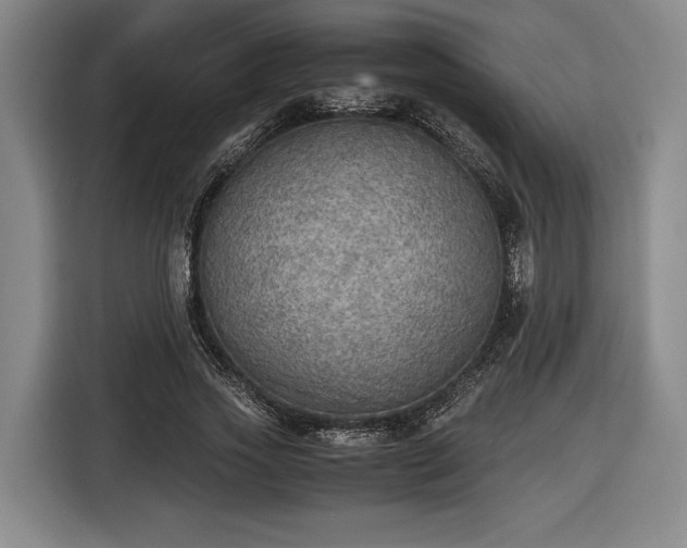 X0000116460733200912161231