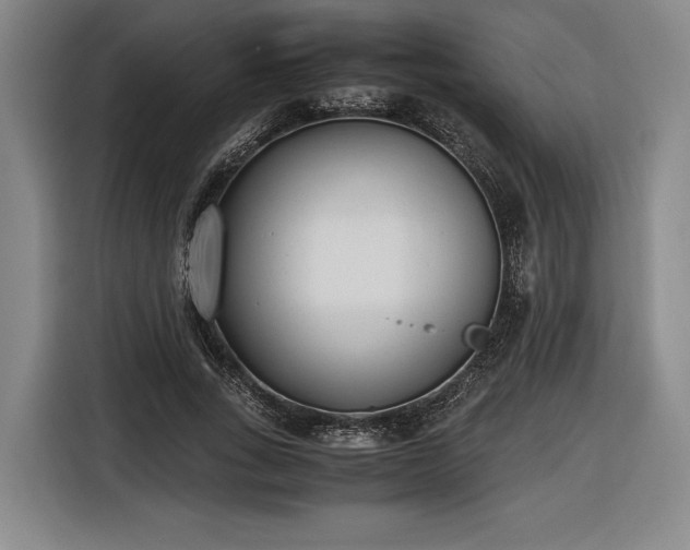 X0000116460735200912161232