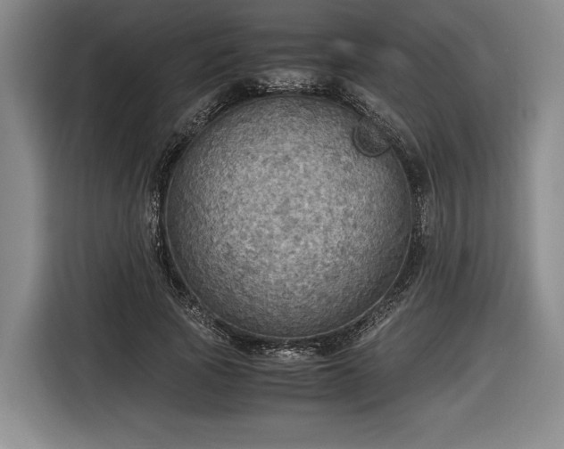 X0000116460737200912161232