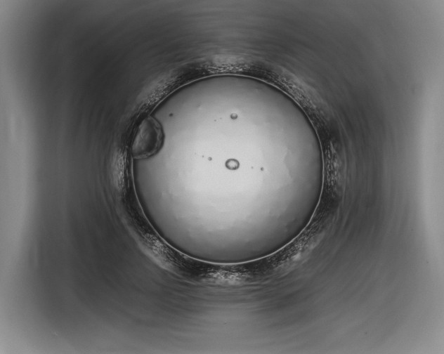 X0000116460742200912161232