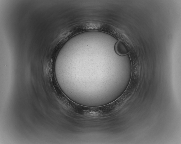 X0000116460743200912161232
