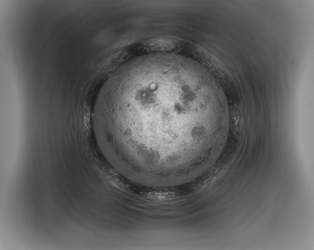 X0000116460745200912161232