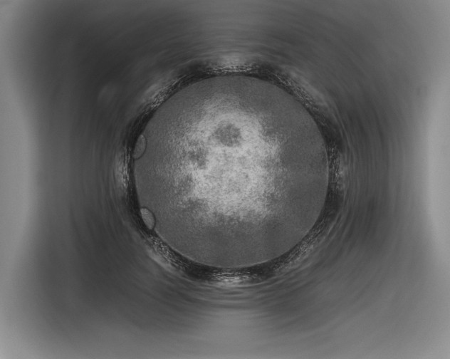 X0000116460746200912161232