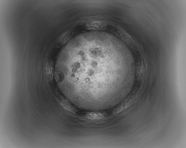 X0000116460749200912161232