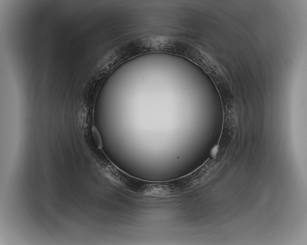 X0000116460750200912161232