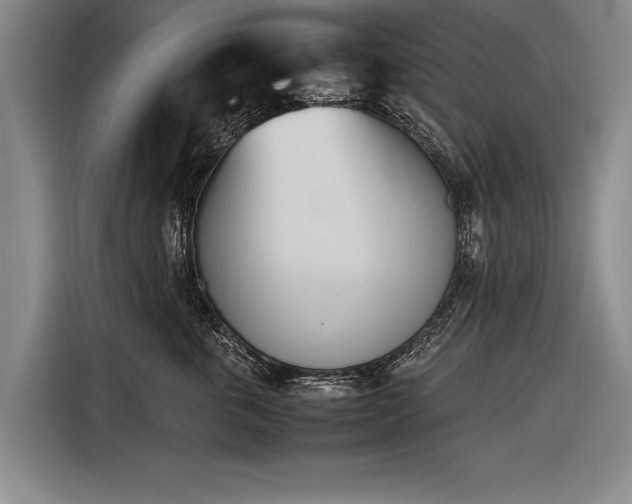 X0000116460763200912161232