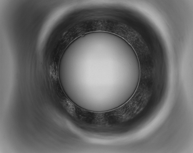 X0000116460766200912161232