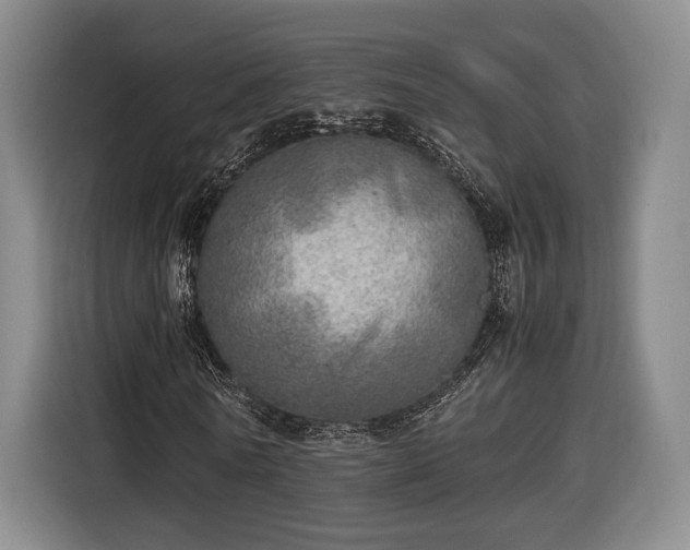 X0000116460770200912161231