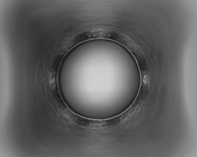 X0000116460771200912161231