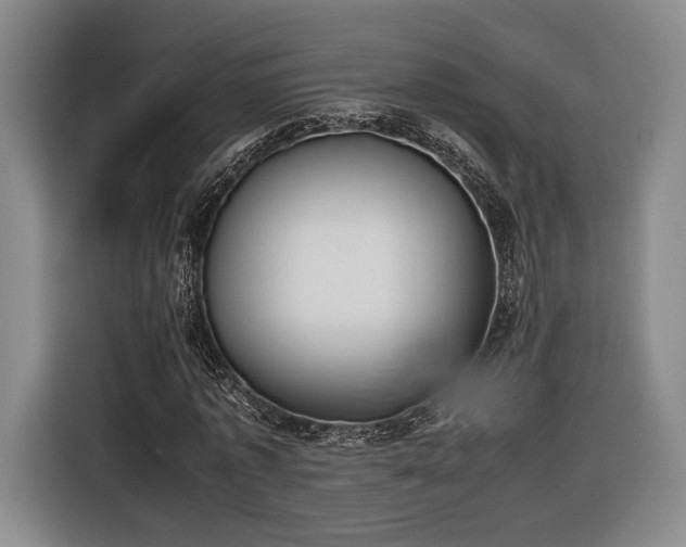 X0000116460773200912161231