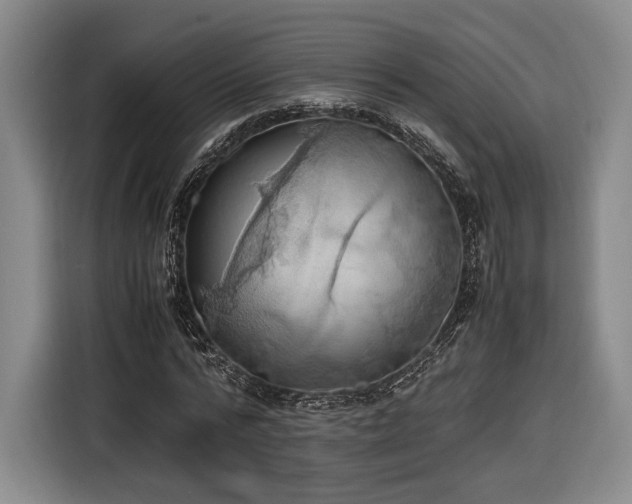X0000116460776200912161231