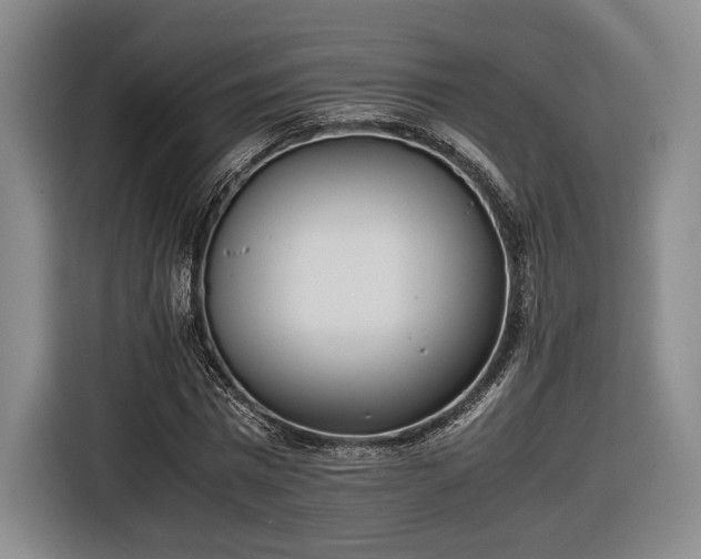 X0000116460777200912161231