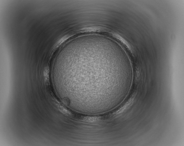 X0000116460778200912161231