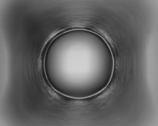 X0000116460779200912161231