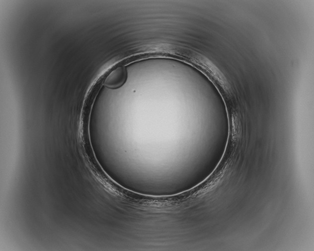 X0000116460780200912161231