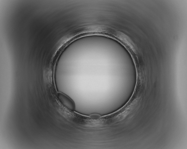 X0000116460781200912161231