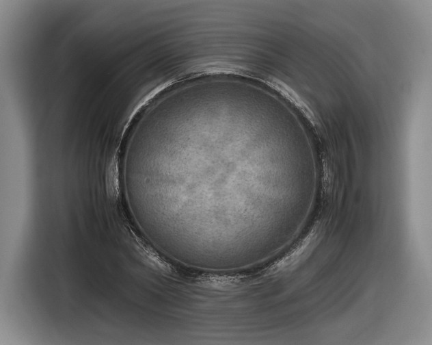 X0000116460782200912161231