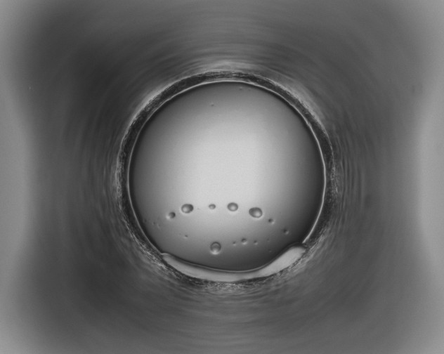 X0000116460783200912161231