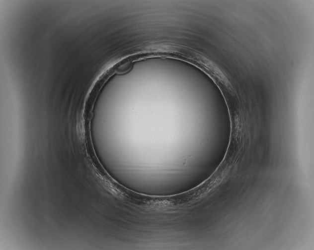 X0000116460784200912161231
