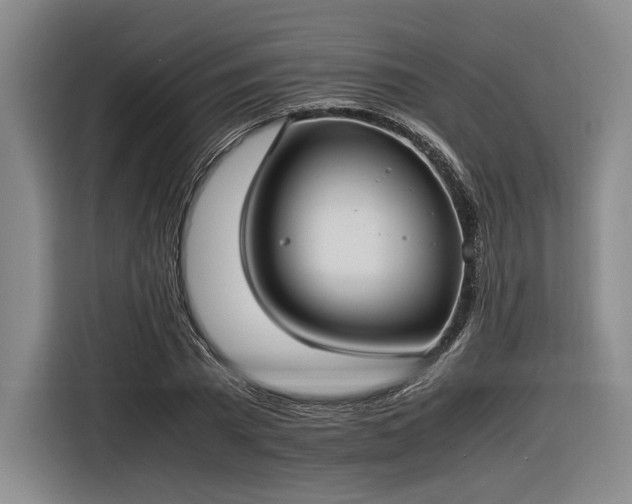 X0000116460785200912161231