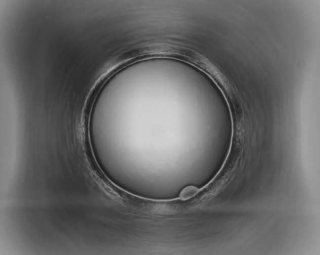X0000116460787200912161231