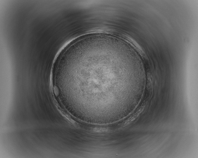 X0000116460788200912161231