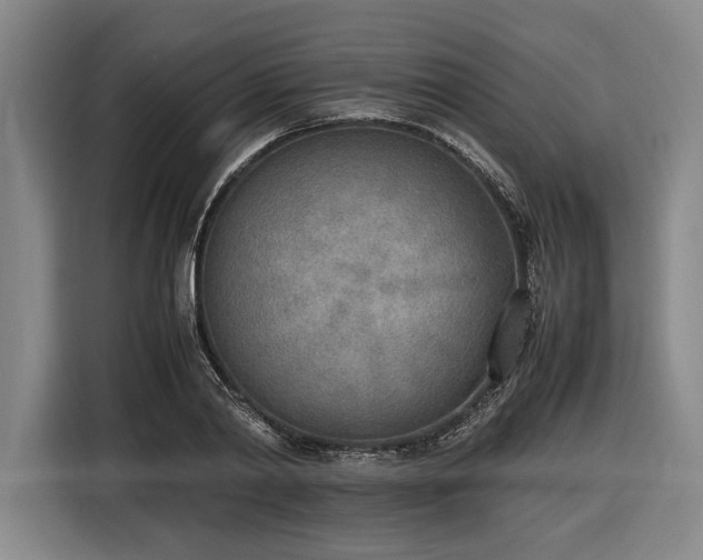 X0000116460790200912161231