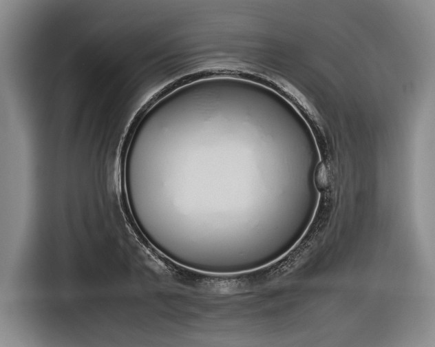 X0000116460791200912161231