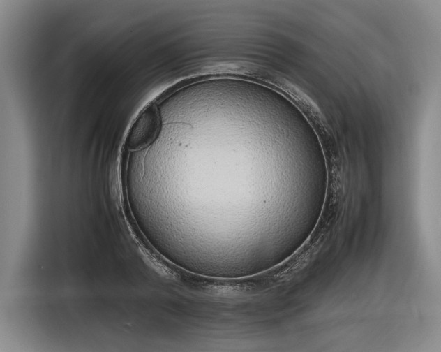 X0000116460792200912161231
