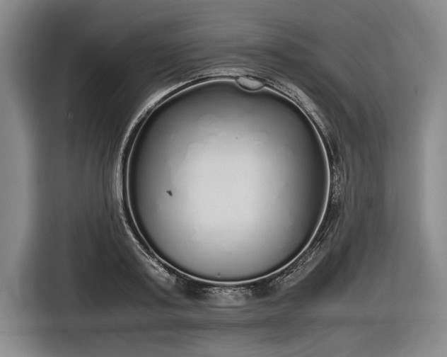 X0000116460795200912161231
