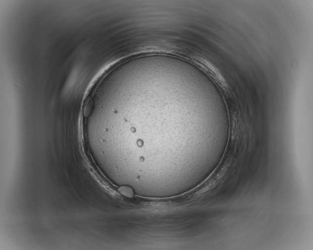 X0000116460796200912161231
