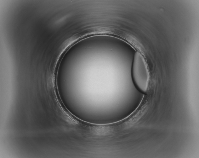 X0000116460797200912161231