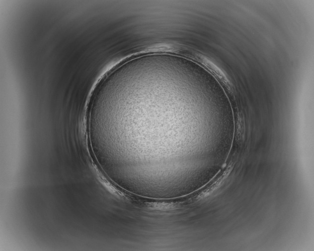X0000116460800200912161231